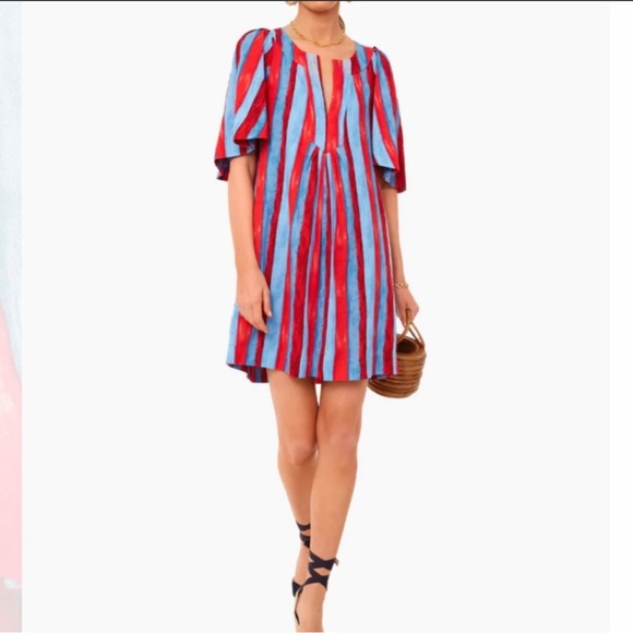 Pomander Place Dresses & Skirts - Tuckernuck Stripe Finley Flutter Sleeve Dress